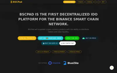 Website screenshot of BSCPAD (2026-05-22)