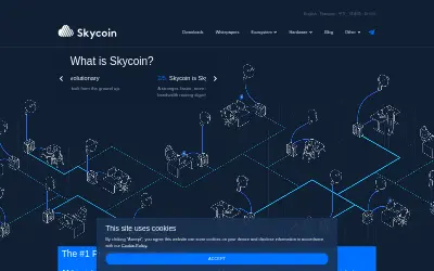 Website screenshot of Skycoin (2026-05-23)