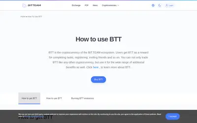Website screenshot of BIT TEAM TOKEN (2026-05-20)