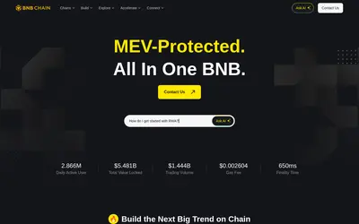 Website screenshot of Bridged Tether (opBNB) (2026-05-20)