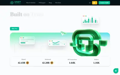 Website screenshot of VNST Stablecoin (2026-05-22)