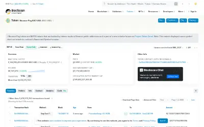 Website screenshot of Binance Bridged USDT (BNB Smart Chain) (2026-05-25)