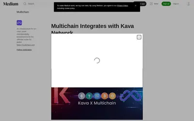 Website screenshot of Multichain Bridged USDC (Kava) (2026-05-21)