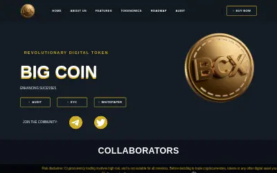 Website screenshot of Big Coin (2026-06-01)