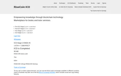 Website screenshot of RiseCoin Token (2026-05-21)