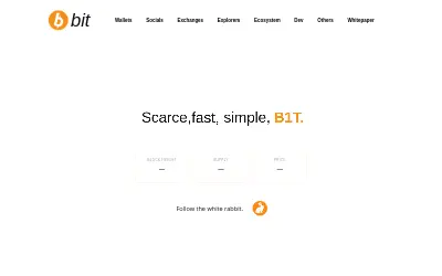 Website screenshot of Bit (2026-05-26)