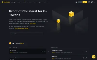 Website screenshot of Binance-Peg SOL (2026-05-27)