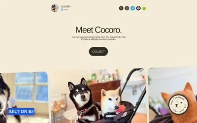 Website screenshot of Cocoro (2026-05-20)