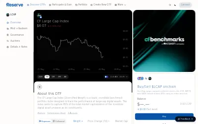 Website screenshot of CF Large Cap Index (2026-05-28)
