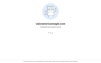 Website screenshot of VALOR (2026-06-03)