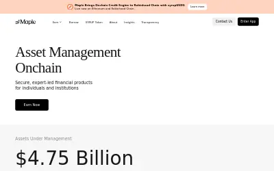 Website screenshot of syrupUSDG (2026-07-04)