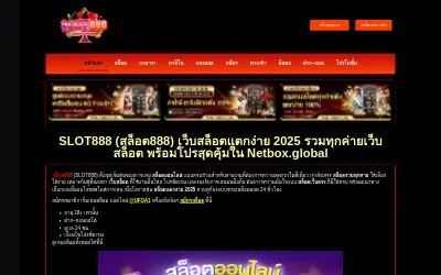 Website screenshot of Netbox Coin (2026-05-29)