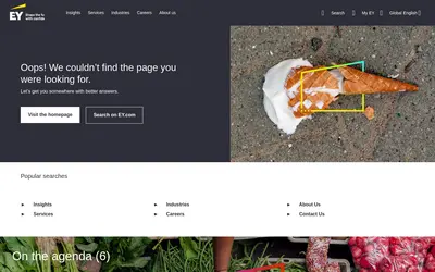Website screenshot of Company (2026-04-29)
